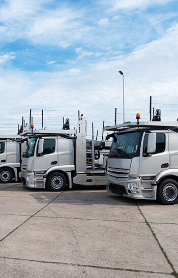 Al Sheikh Transport and Cargo Services