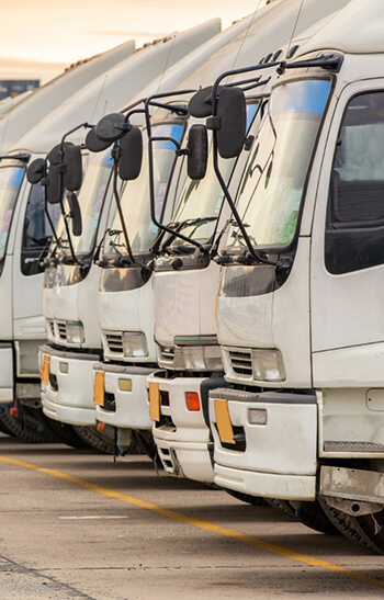 Al Sheikh Transport and Cargo Services