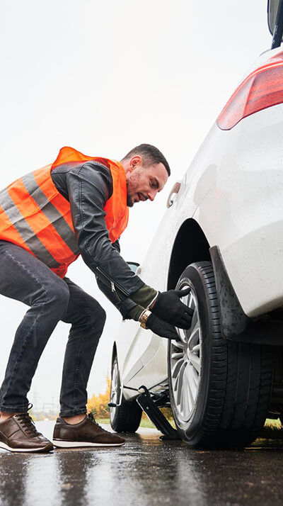 Al Sheikh Transport and Cargo Services