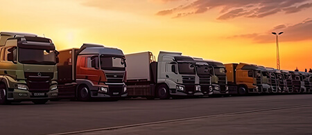 Al Sheikh Transport and Cargo Services