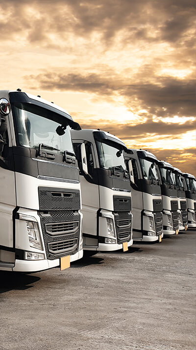 Al Sheikh Transport and Cargo Services